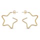 Boucles d'oreilles étoile Plaqué Or 18 carats