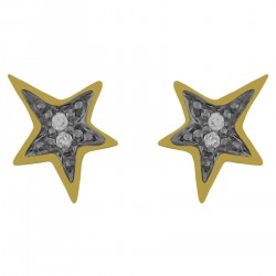 Boucles d'oreilles étoiles Plaqué Or 18 carats bicolore et Oxydes zirconium