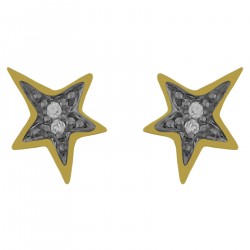Boucles d'oreilles étoiles Plaqué Or 18 carats bicolore et Oxydes zirconium